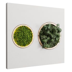 Vertical Garden Circle And Moss In Wooden Frame 32