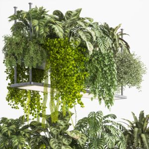 Indoor Plants In A Hanging Rectangular Planter Set