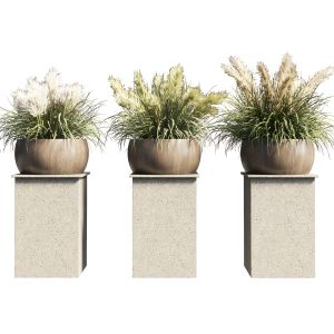 Collection Outdoor Indoor 70 Pot Palnt Grass The D