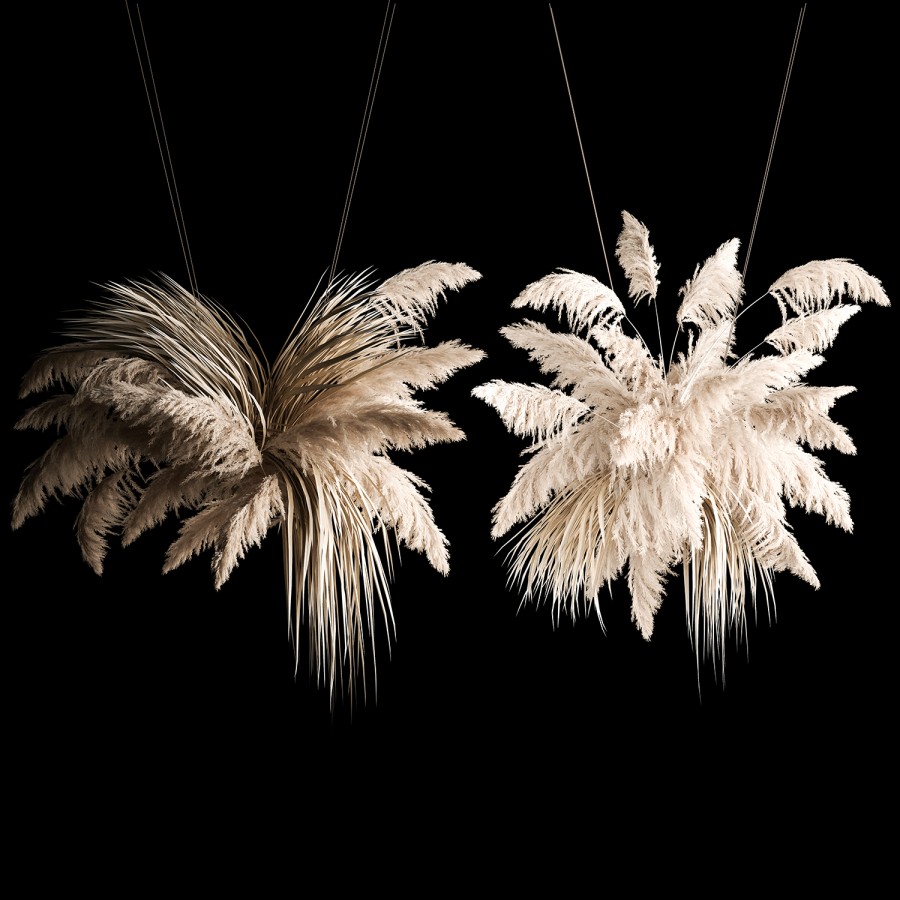Hanging Reeds Hanging Bouquet Of Dry Reeds For Decoration 2 - 3D Model for VRay