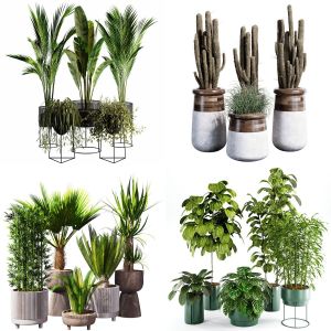 Indoor plant collection set 04