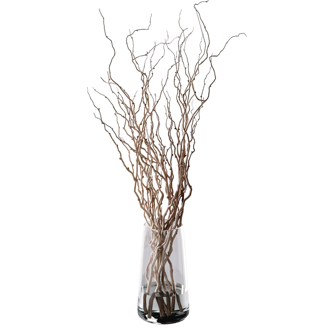 Fresh Curly Willow Branches - 3D Model for VRay, Corona
