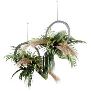 Indoor Plant Set42-hanging Plant