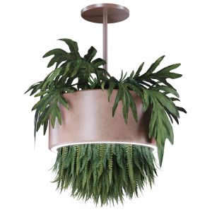 Indoor Plant Set44-hanging Plant