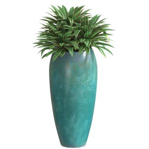 Agave Plant In Tall Modern Pot