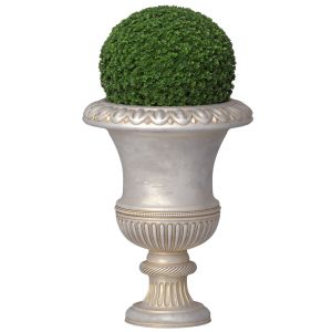 Boxwood In A Classical Vase For Facade Decoration