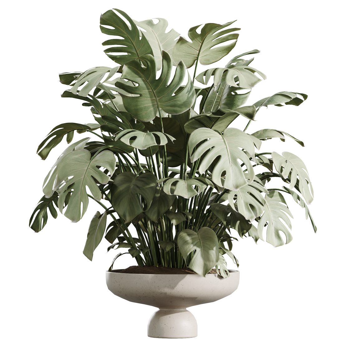 Av Indoor Plants Set 488 Olive Palm Orange 3D Model for VRay