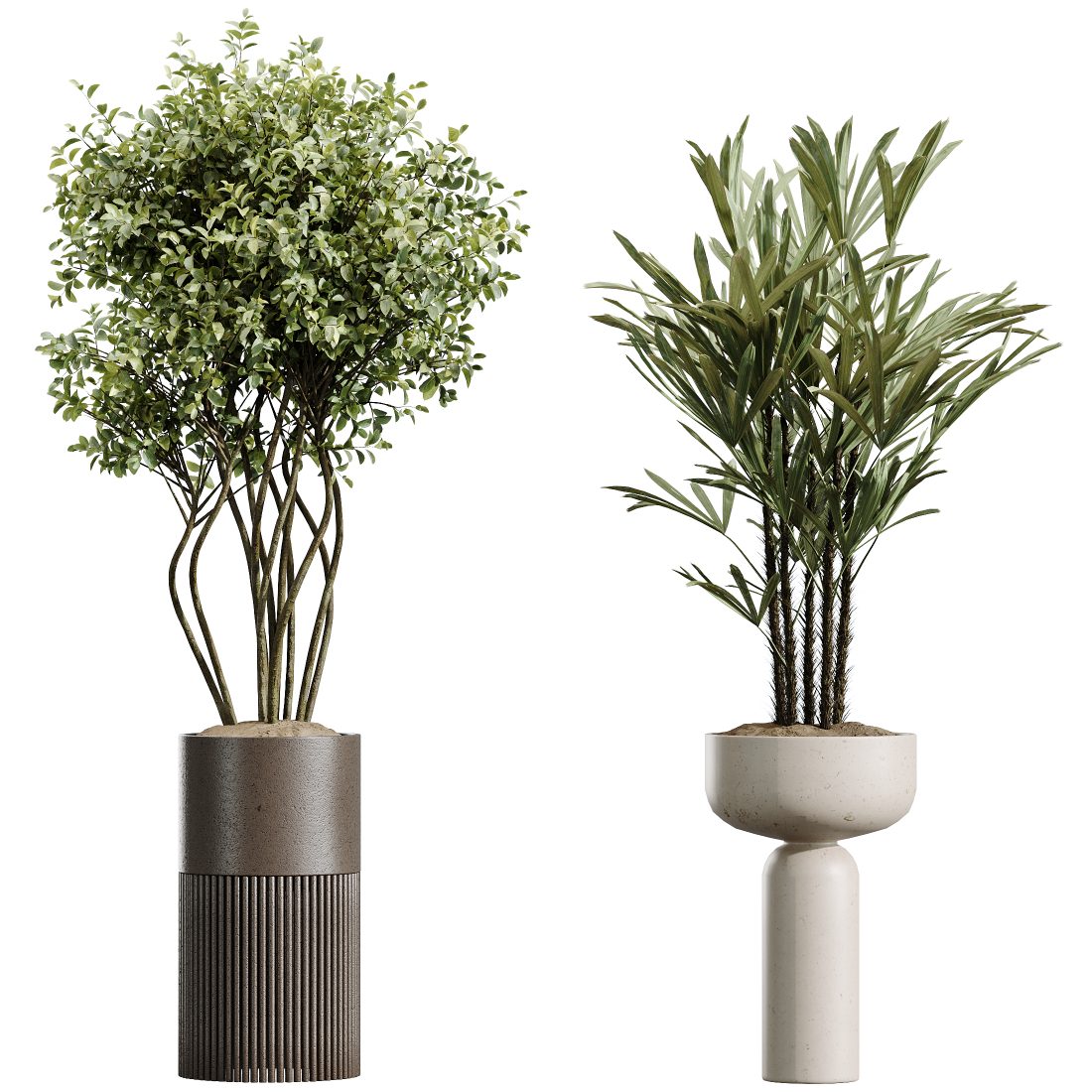 Av Indoor Plants Set 488 Olive Palm Orange 3D Model for VRay