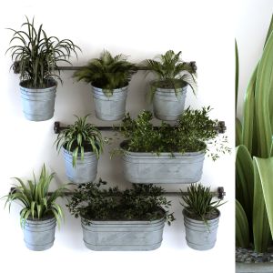 Plant In Vase Set 108