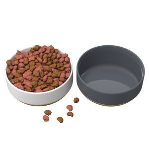 Pets Food Bowl White And Gray
