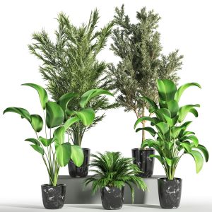 Indoor Plant Set 39