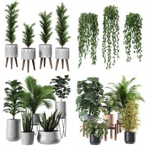 Indoor Plants Collection 02