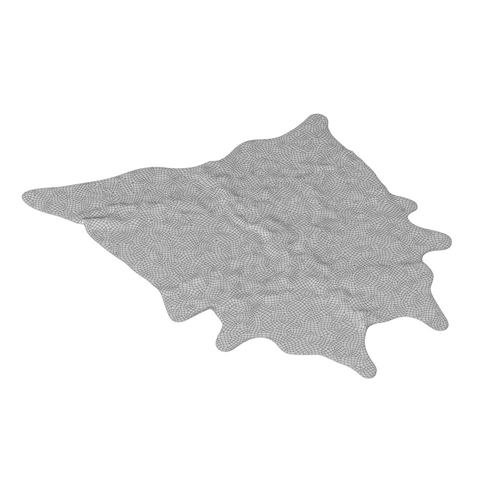 Animal Skin Rug 10 3D Model for VRay | CGMood