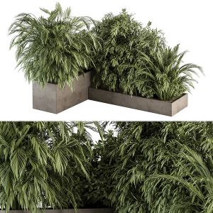Outdoor Plant Set 295 - Tropical Plant Box