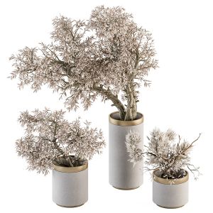 Bouquet - Dried Branch Set In Vase 70