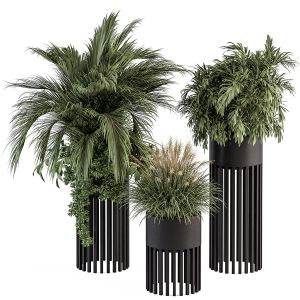 Indoor Plant 301 - Plant Set In Round Stand