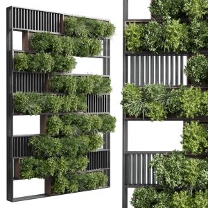 Plants Set Partition In Wooden Frame Vertical