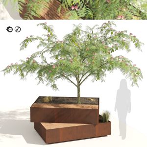 Landscape Bench With Mimosa Tree Pot