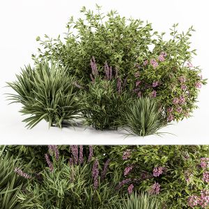 Mixed Plant - Bush Set 50