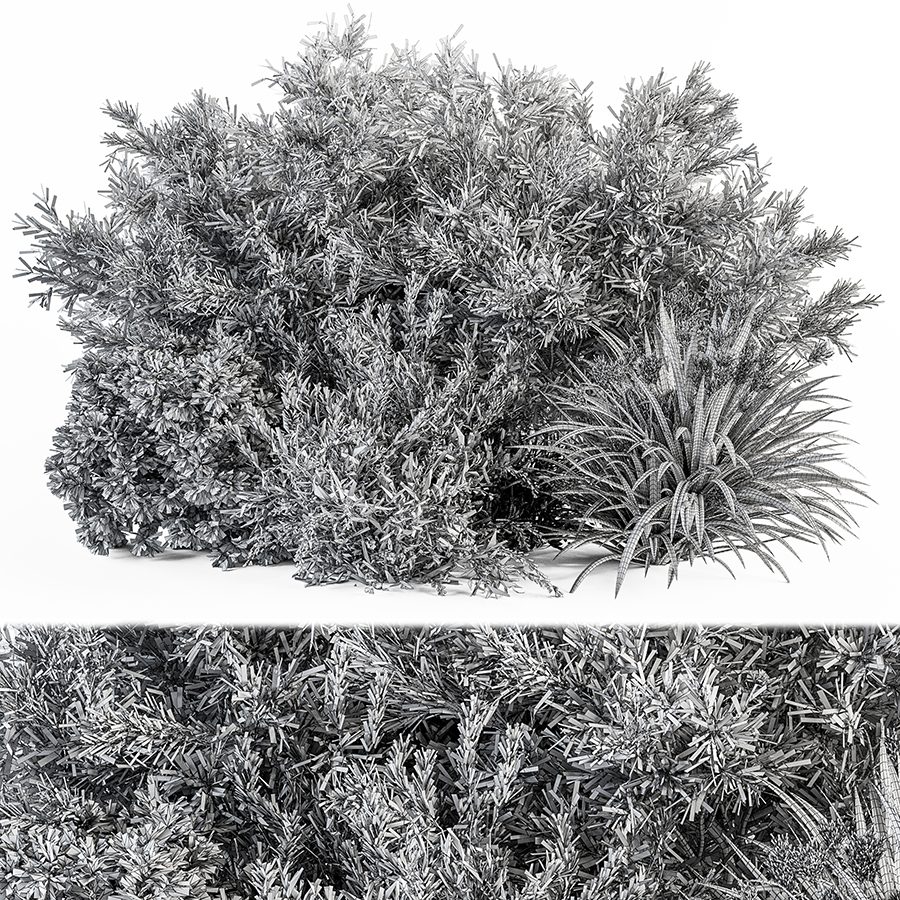 Mixed Plant - Bush Set 51 - 3D Model for VRay, Corona