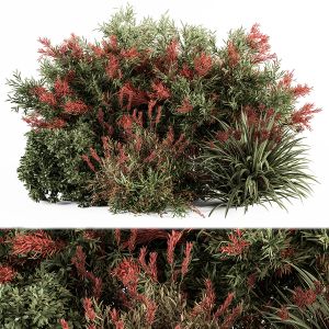 Mixed Plant - Bush Set 51