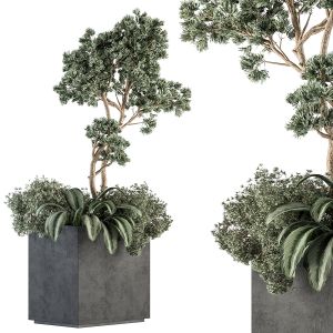 Outdoor Plant Set 329 - Plant Set In Concrete Box