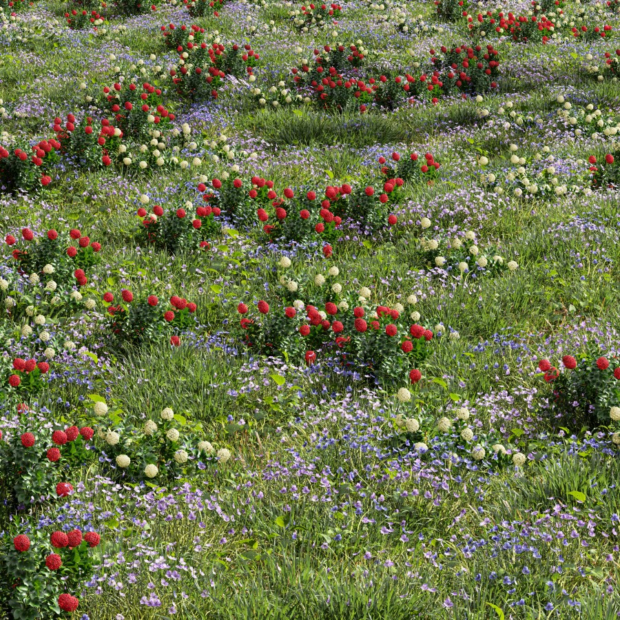 Meadow Lawn Grassland Set 016 3D Model For VRay Corona meadow-lawn-grassland-set-016-3d-model-for-vray-corona