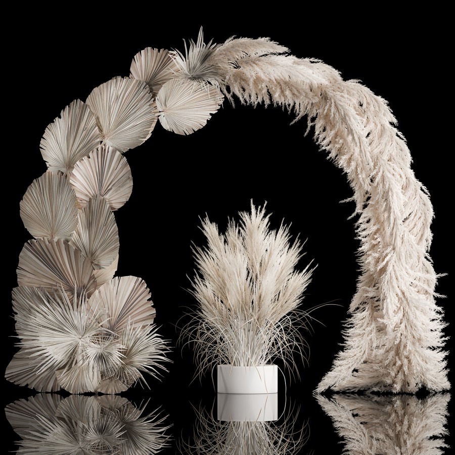 Dried Flower Wedding Arch, Pampas Grass, Palm - 3D Model for VRay