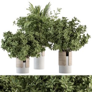 Bouquet - Green Branch Set In Vase 73