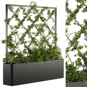 Vertical Garden - Outdoor Green Wall 39