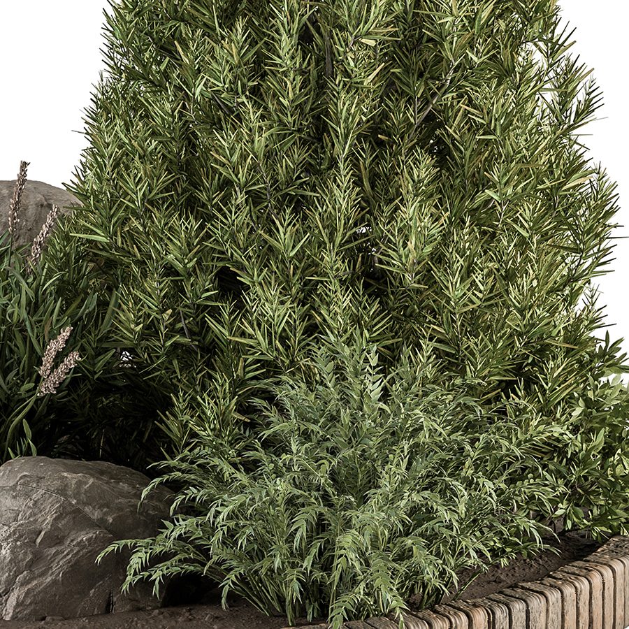 garden-set-plants-outdoor-plants-set-334-3d-model-for-vray-corona