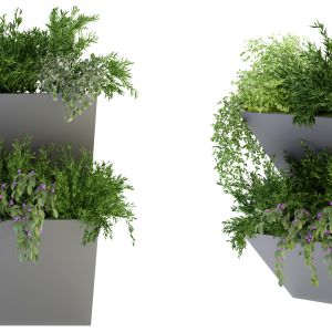Collection Plant Vol 70 Blender Model