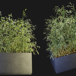 Collection Plant Vol 95 - Blender Model