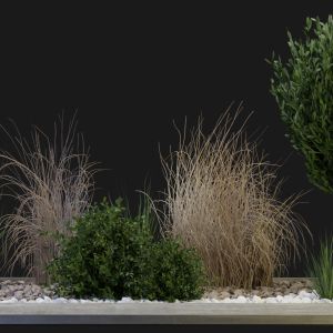 Collection Plant Vol 98 - Blender Model