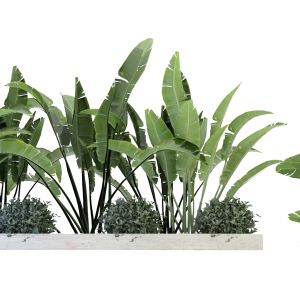 Collection Plant Vol 109 - Blender Model