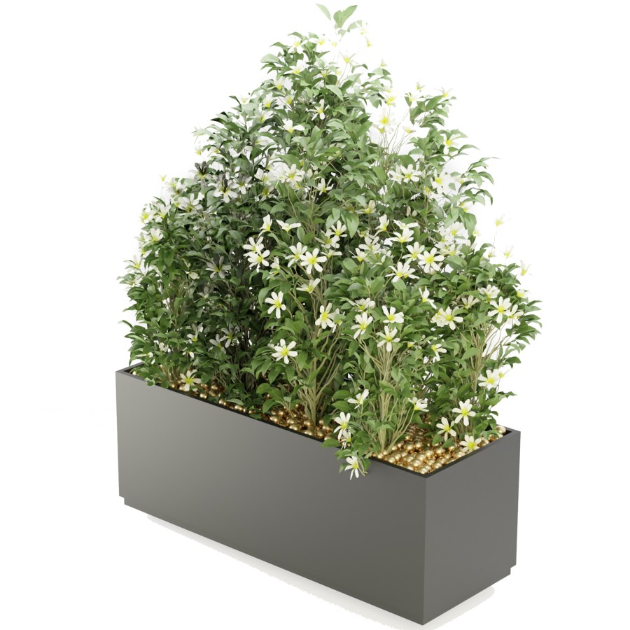 Collection Plant Vol 207 - Blender Model 3D Model | CGMood