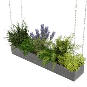 Collection Plant Vol 225 - Blender Model