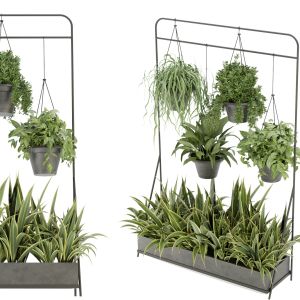 Collection Plant Vol 257 - Blender Model