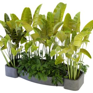 Collection Plant Vol 301 - Blender Model