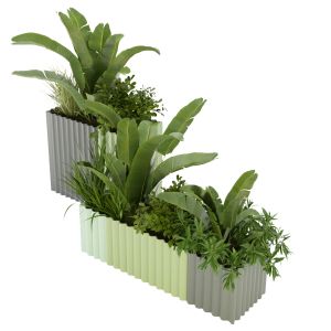 Collection Plant Vol 318 - Blender Model