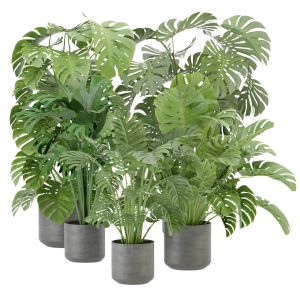 Collection Plant Vol 334 - Blender Model
