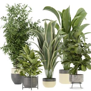 Collection Plant Vol 353- Blender Model