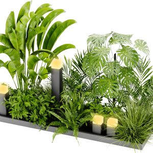 Collection Plant Vol 407 - Blender Model