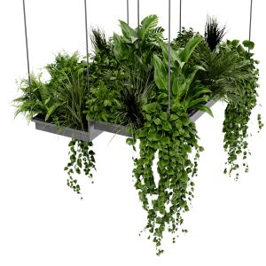 Collection Plant Vol 411 - Blender Model