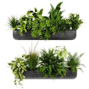 Collection Plant Vol 417 - Blender Model