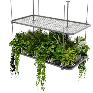 Collection Plant Vol 426 - Blender Model
