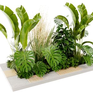 Collection Plant Vol 428 - Blender Model