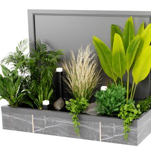 Collection Plant Vol 438 - Blender Model