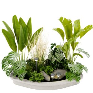 Collection Plant Vol 442 - Blender Model