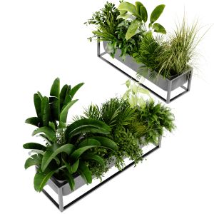 Collection Plant Vol 444 - Blender Model